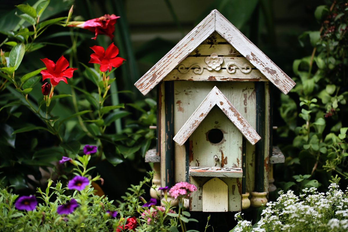 Gør din have fuglevenlig – Guide til at vælge det rigtige fuglehus